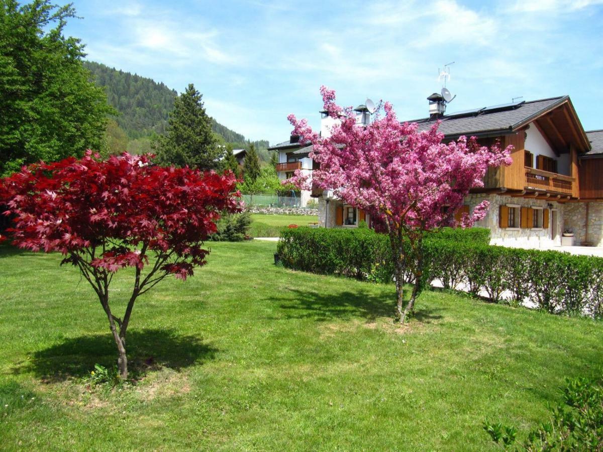 Ca'Milla B&B Nelle Dolomiti Pieve di Cadore Exterior photo