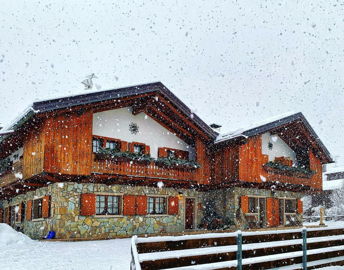 Ca'Milla B&B Nelle Dolomiti Pieve di Cadore Exterior photo